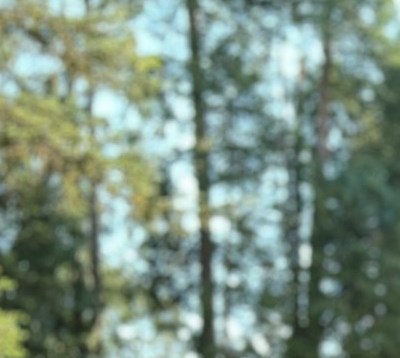 Elizabeth Alexander Obituary Raleigh NC elizabeth-alexander-obituary-raleigh-nc