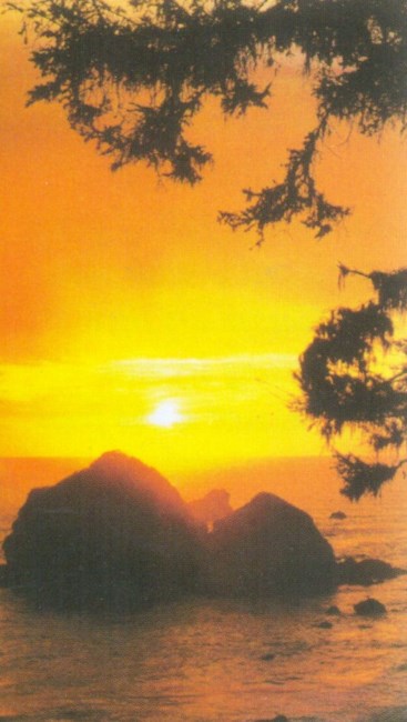 Obituary of Sherron Ann Brinker