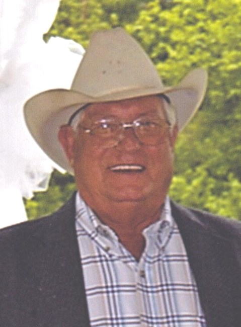 Obituary of Donald L. Lewis