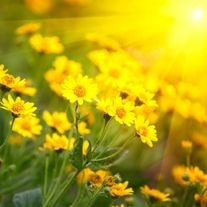 Obituary of Gloria Dolores Graham