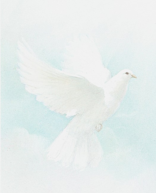 obituary image