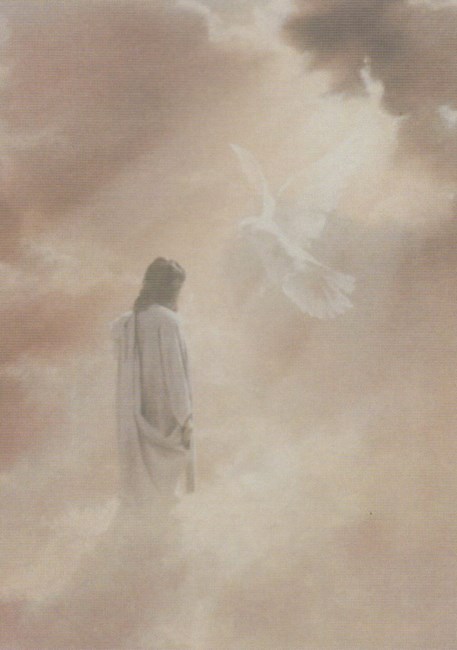 Obituario de María de las Nieves Lozano Berruezo