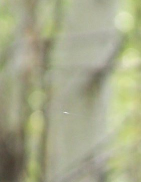 Peter Bonn Elchoness Obituary Boulder CO peter-bonn-elchoness-obituary-boulder-co