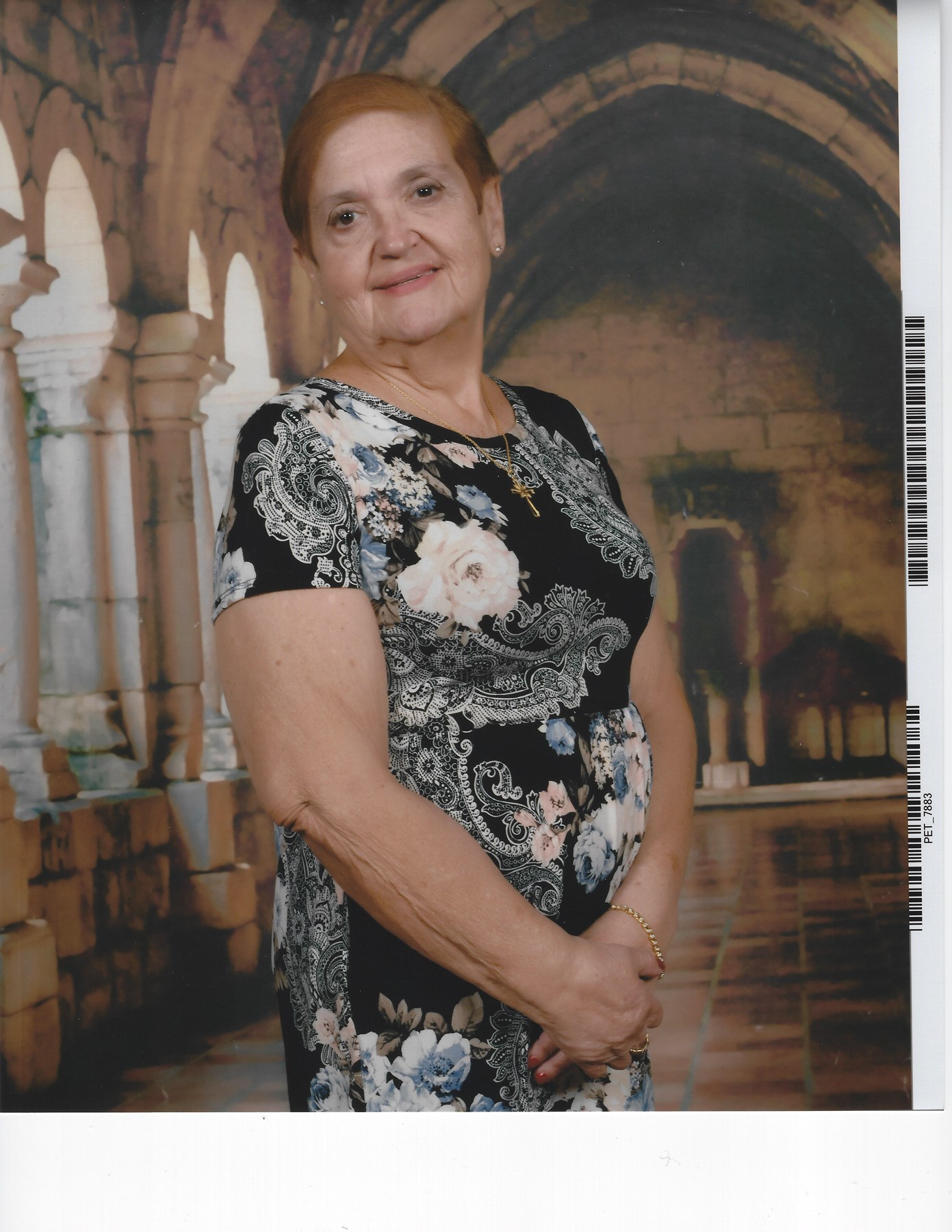 Obituary of Louise Teresa Schendel