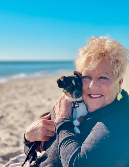 Obituary of Sandra Meadows Dillon