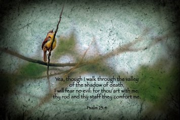 Obituary of Johnnie Alice Morrison