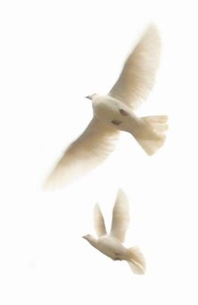 Obituary of Mr. Dannie Ray Jones