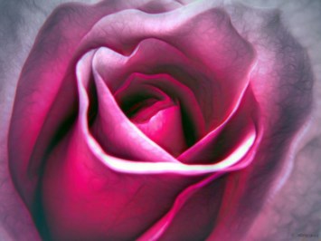 Obituary of Marilyn Herman