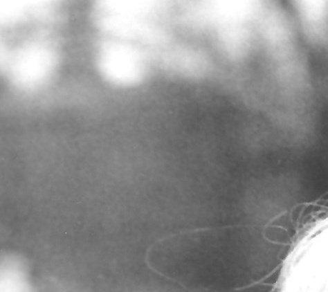 Alice Goode Obituary Raleigh, NC