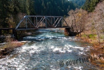 Obituary of Courtney Lee White