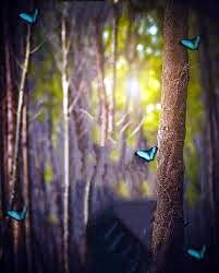 Obituary of Marilyn Jeanette Hall