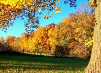 Obituary of Vicki Junk