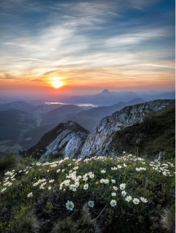 Obituary of Marc A. Acuna