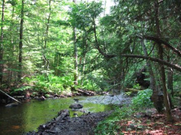 Obituary of Christopher Michael Haines