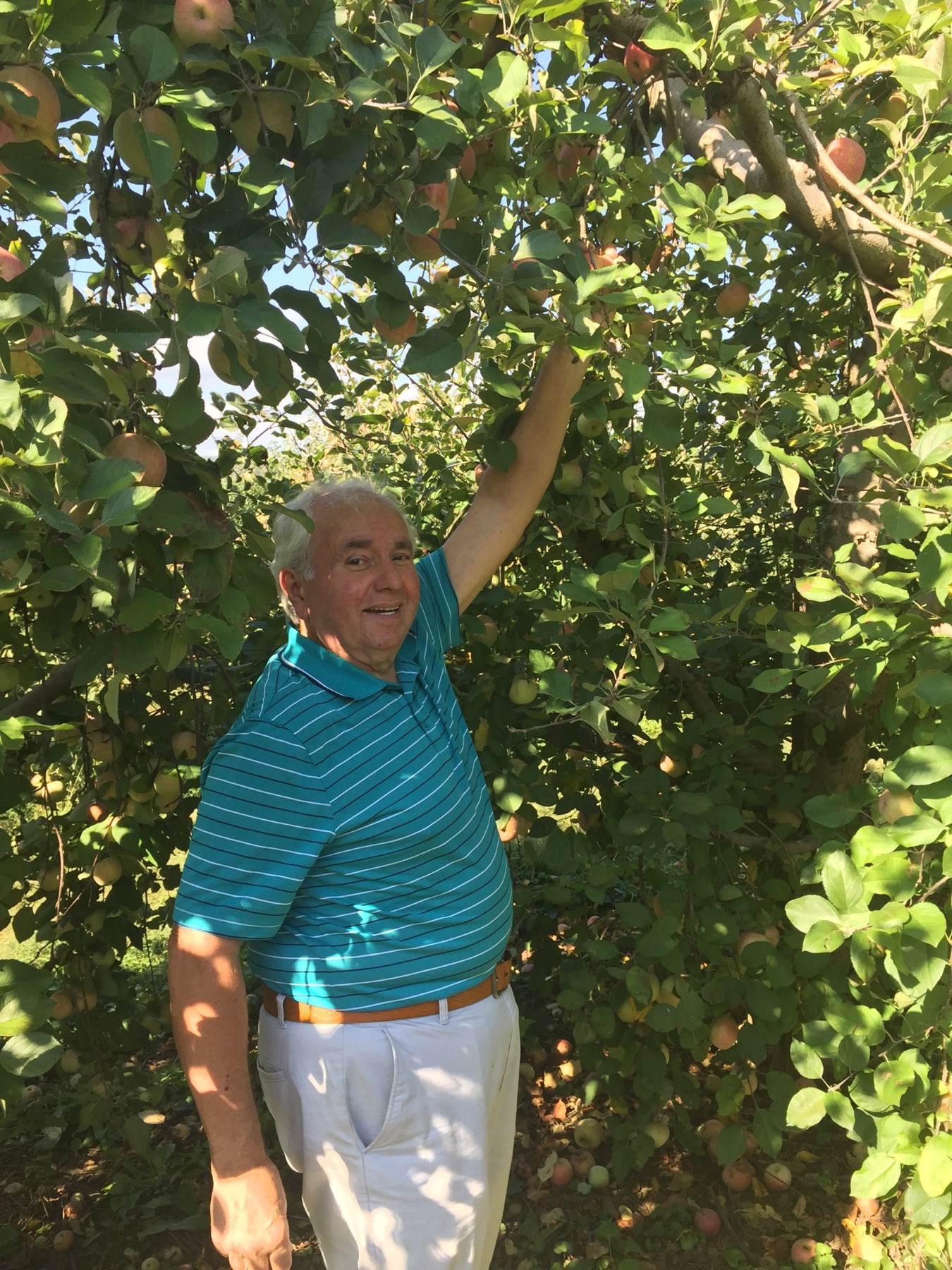 Obituary of Vito Scarola