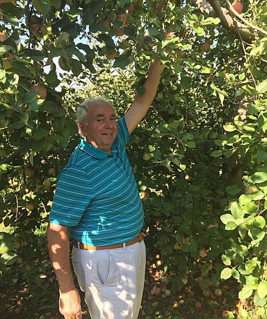 Obituary of Vito Scarola