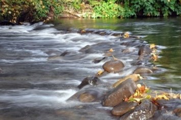 Obituary of Sharon Lynne Johnson