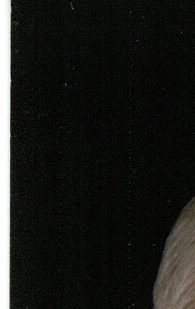 Steven Fritsche Obituary - Houston, TX