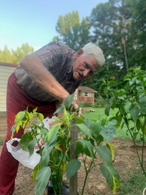 Obituary of Howard David Gibbs