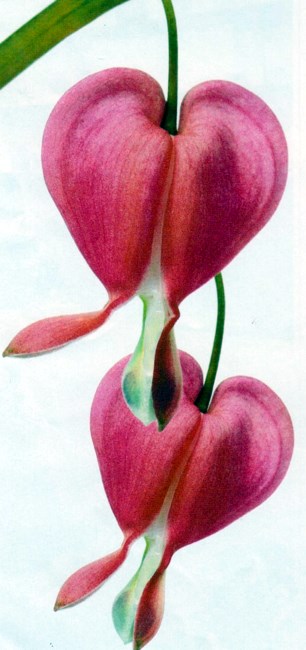 Obituary of Virginia Speegle Kyle