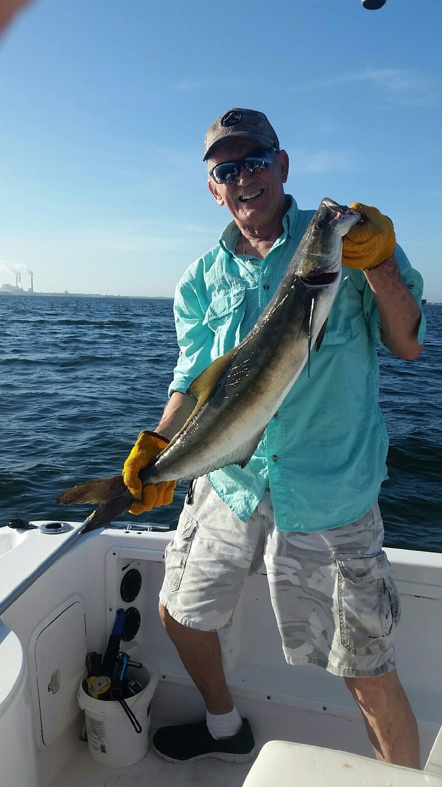 Obituary of Mr. Cleave McClure Scoggins Jr.