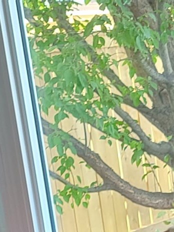 Roderick Cameron Obituary - Calgary, AB