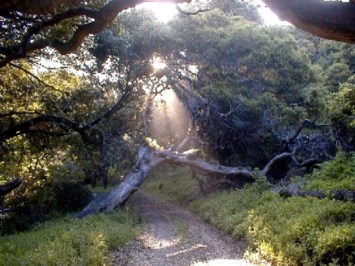 Obituary of David Allen Hardy