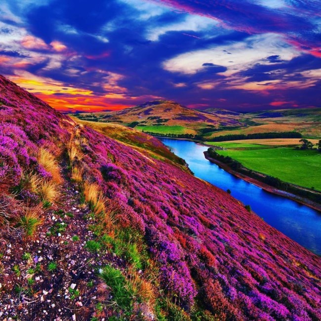 Obituary of Anita Marie King