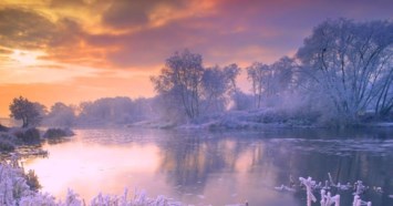 Obituary of Raul Cuellar