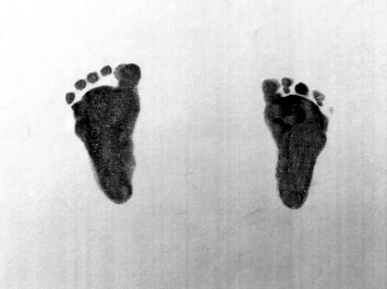 Obituary of Matthew Neal Cunningham