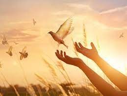 Obituary of Iza Jesus Granillo Ramirez