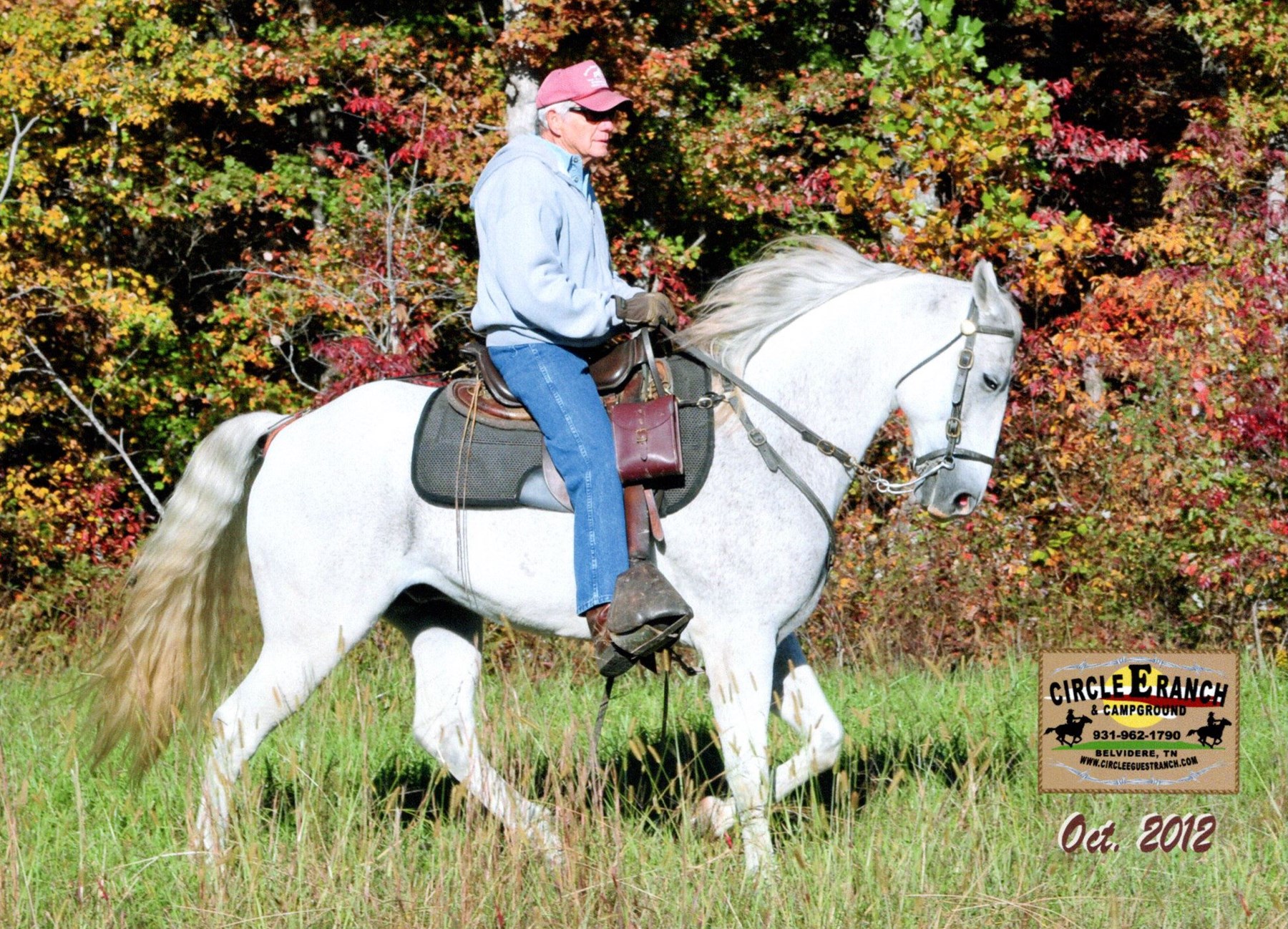 Obituary of Donald Eugene Terry