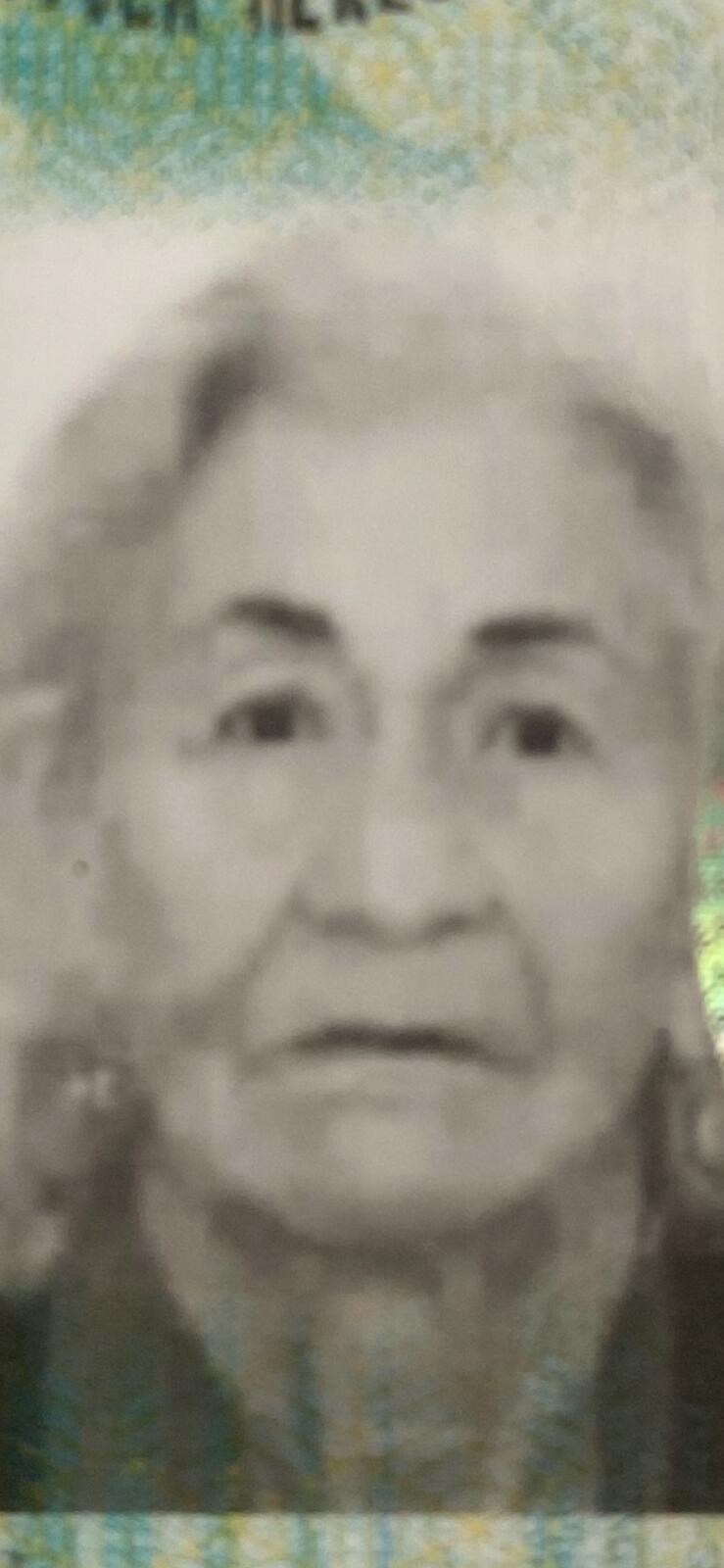 Obituary of Herlinda N. Lopez