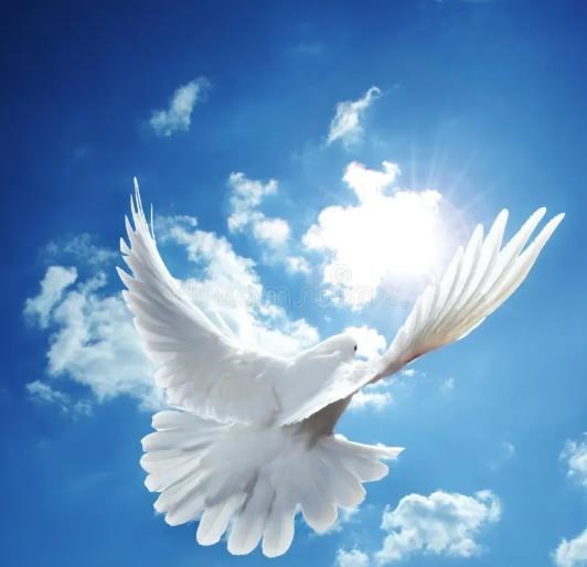 Obituary of Felipe Mendoza Gomez