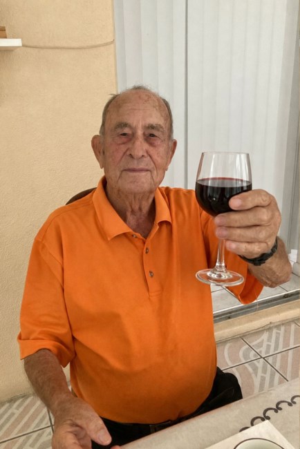 Obituary of Virgilio Domingues Ferreira