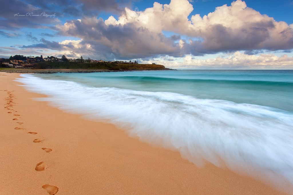 Obituary of Whalen Richard Martin