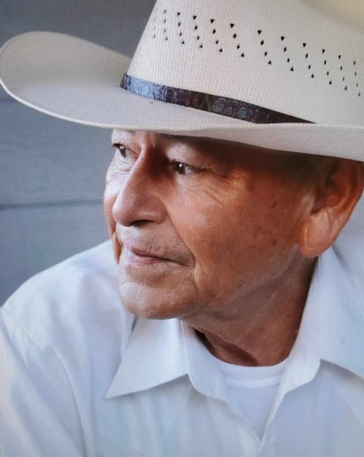 Obituary of Lupe Flores