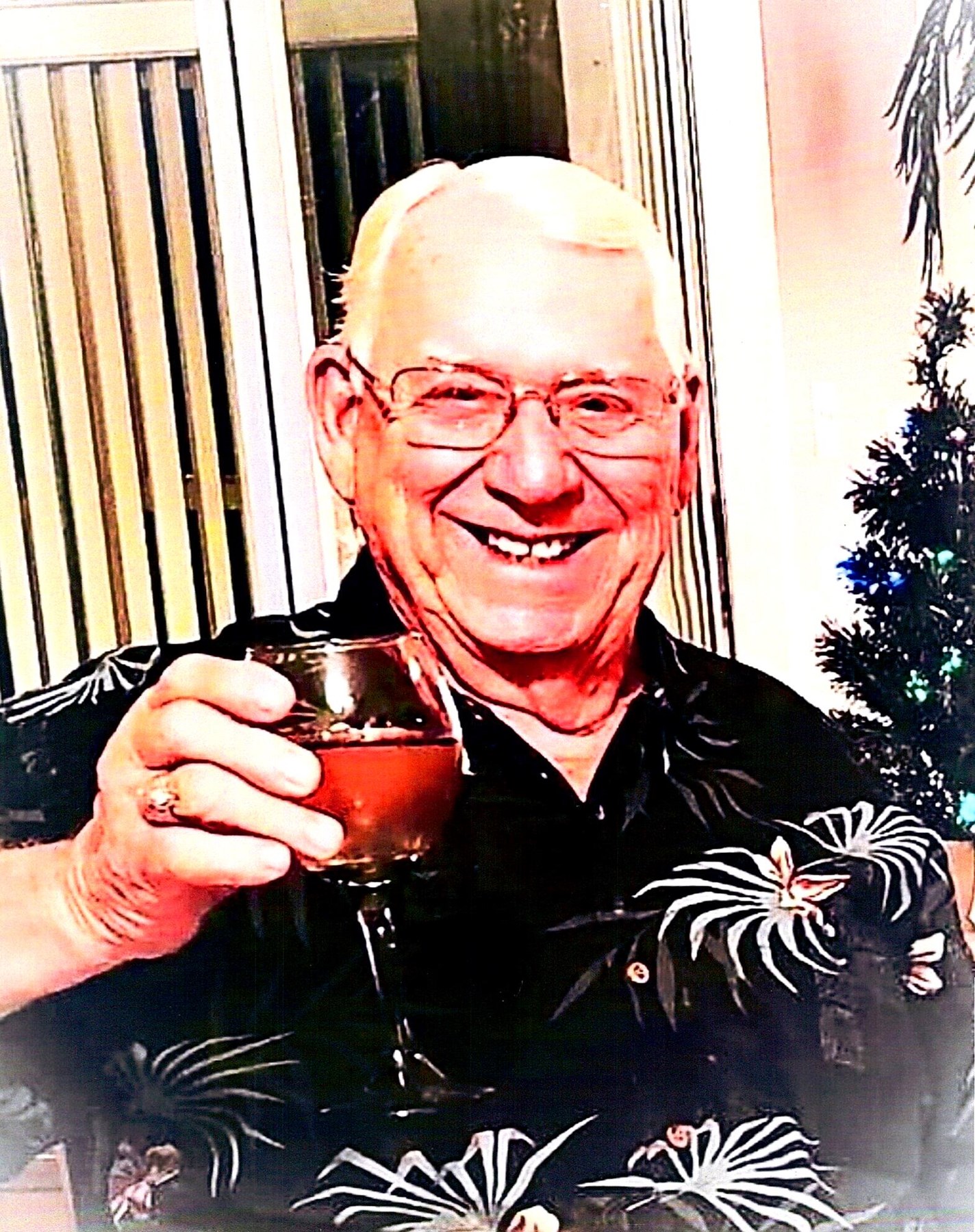 Robert Hamilton Obituary Seminole, FL