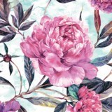 Obituary of Bette Greene