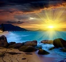 Obituary of Richard D'Amico