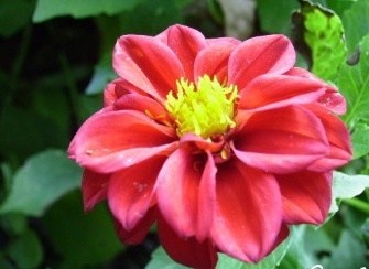 Obituary of Linda Kay Tatum