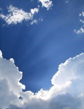 Obituary of William Edward McGill