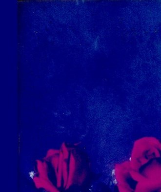 Chris Skordas Obituary