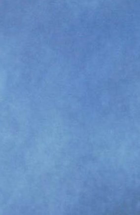 Robert Meyerhoff Obituary Greenwich, CT