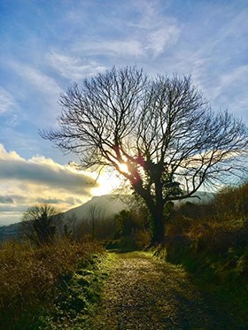 Obituary of Joseph Matthew Grabowski