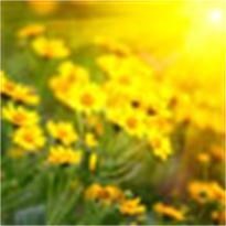 Obituary of Barbara June Nye