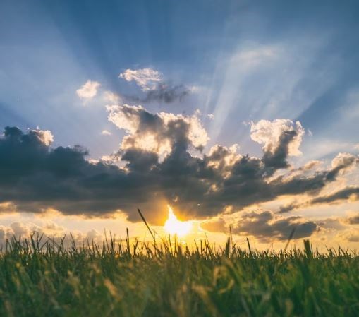 Obituary of Jose Maria Cavazos