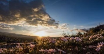 Obituary of Amos Don Glad