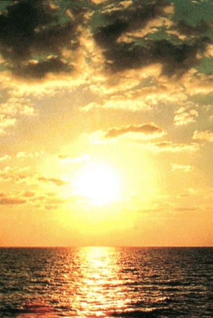 Obituary of Robert Cozzi