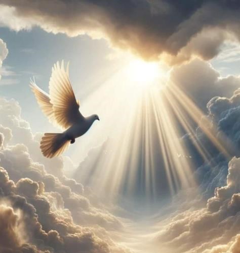 Obituary of Sebastian Saucedo